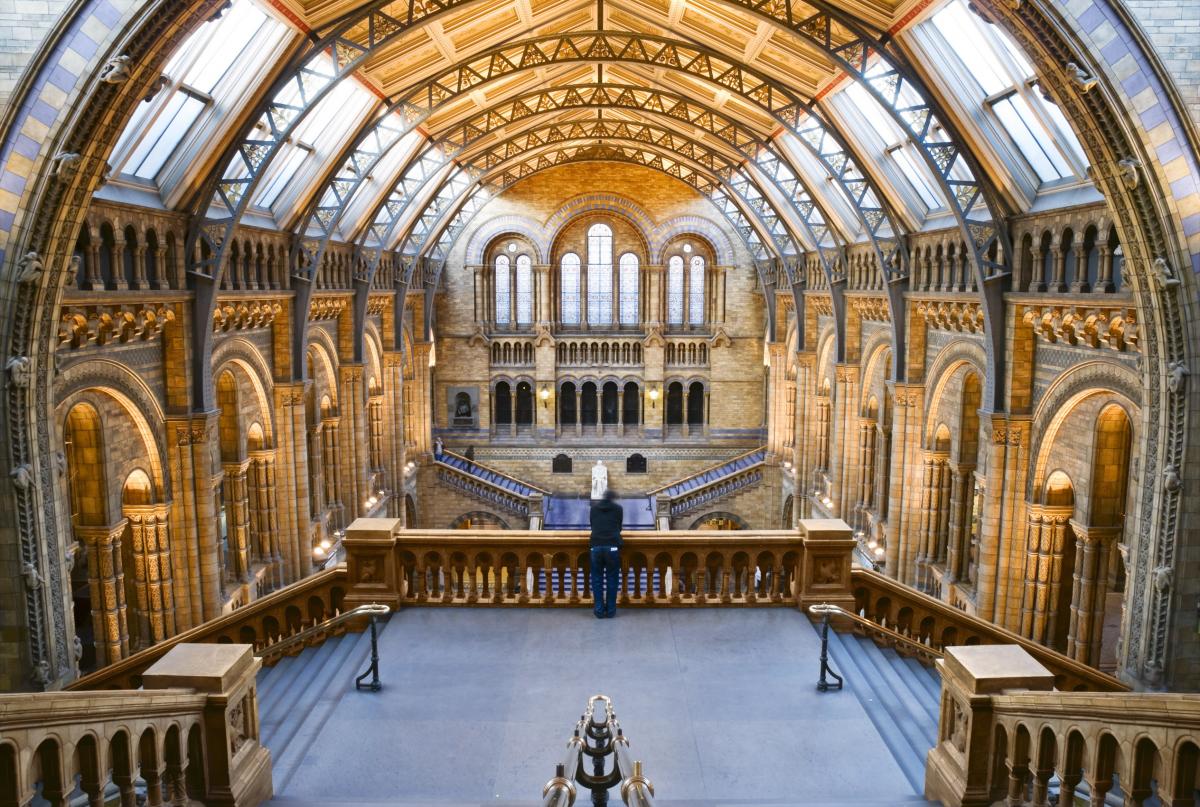 Natural History Museum