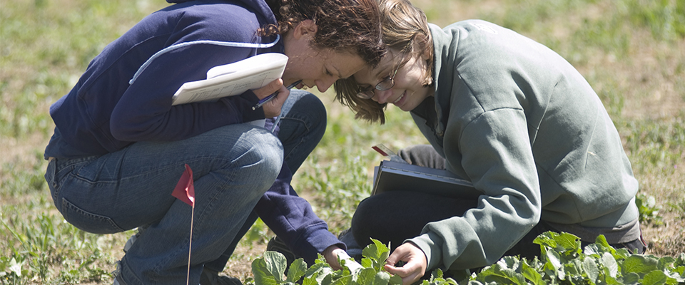 UC Davis Experimental College elective