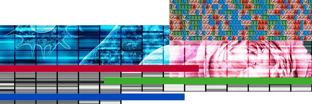 decorative graphic with DNA sequences, plants and animals