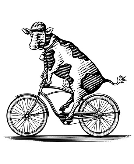 Illustration of a cow riding a bicycle