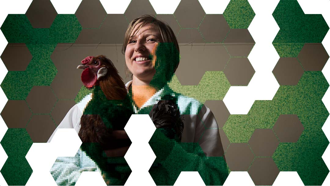 Professor Maja Makagon holds a chicken