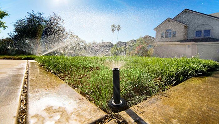 Sprinklers water a lawn in front of a house