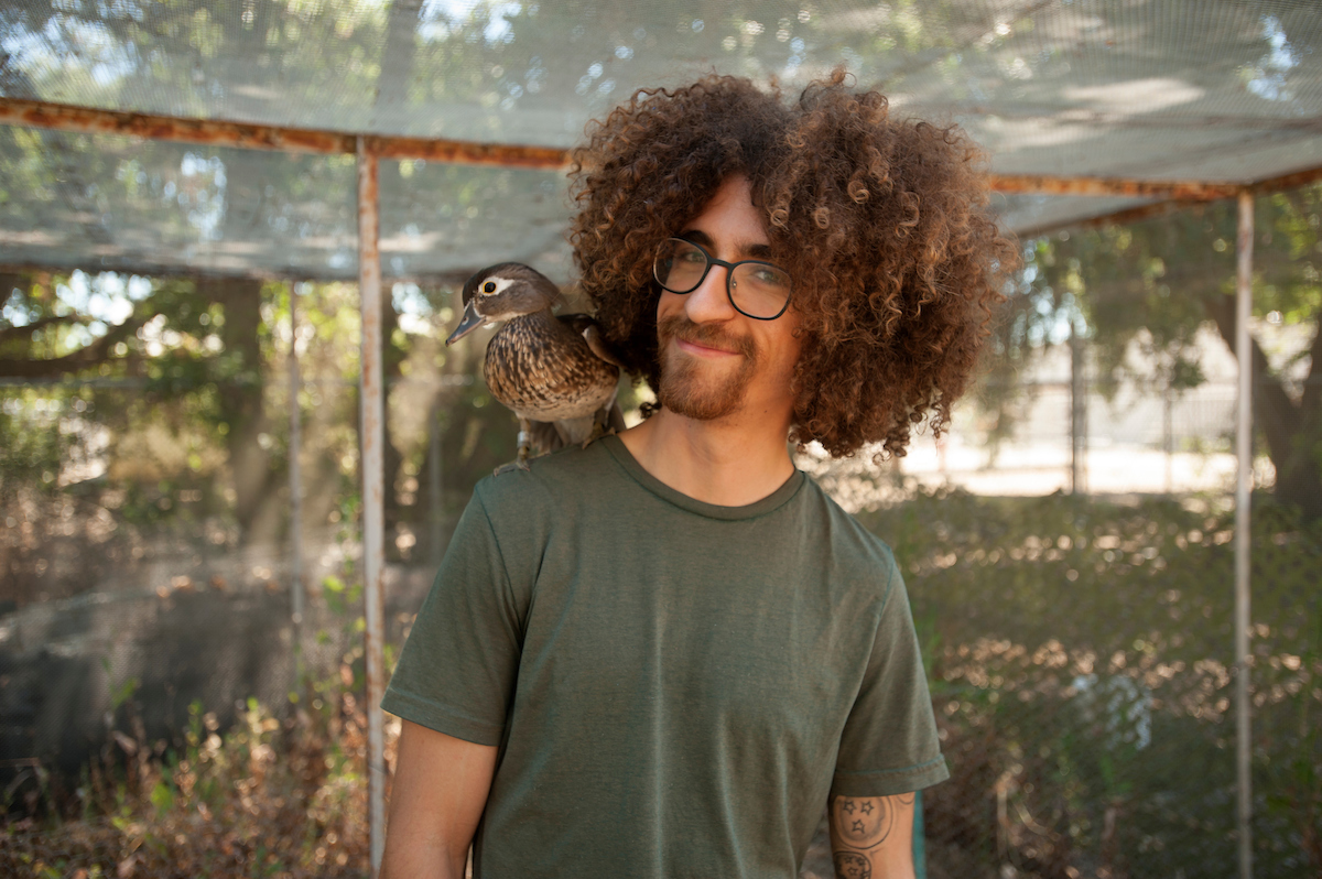 A duck perches on a student's shoulder at UC Davis. 