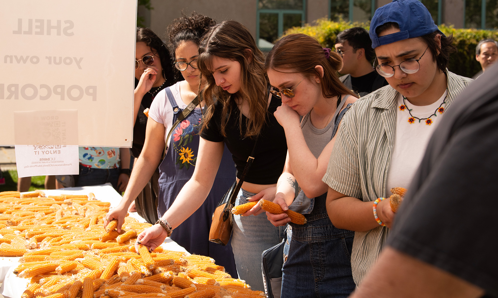 People stand in line to get free corn cobs