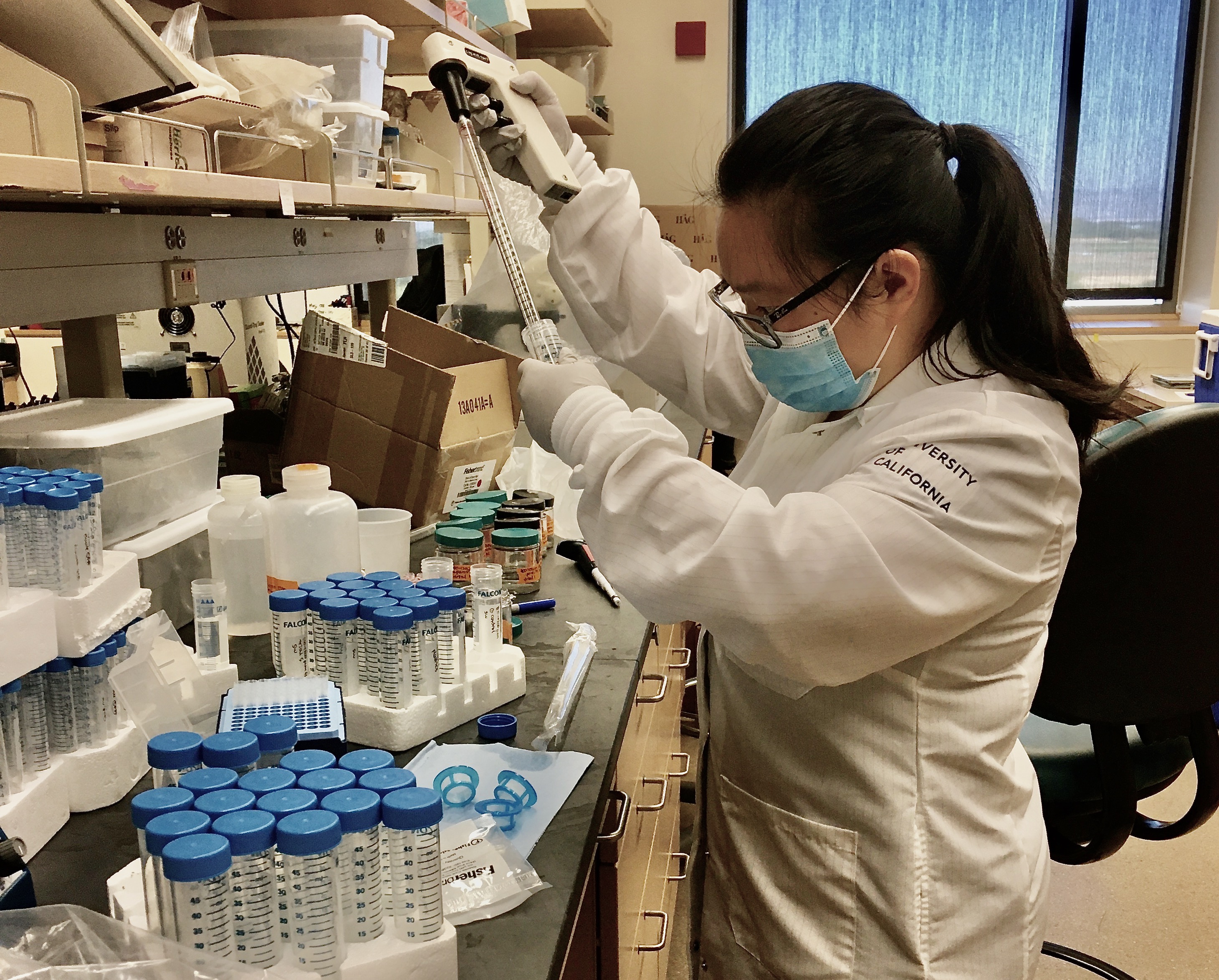 Asian female scienist in white lab coat and mask works in a science laboratory