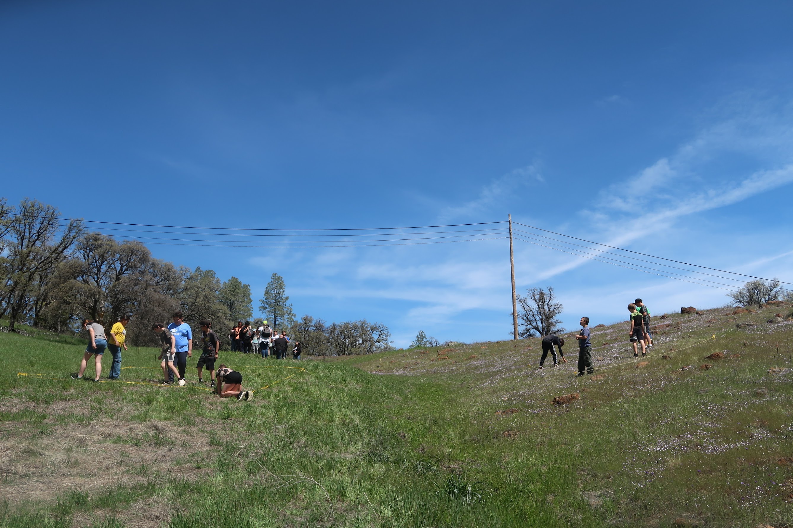 Two groups of students look at the differences between loam and serpentine soil