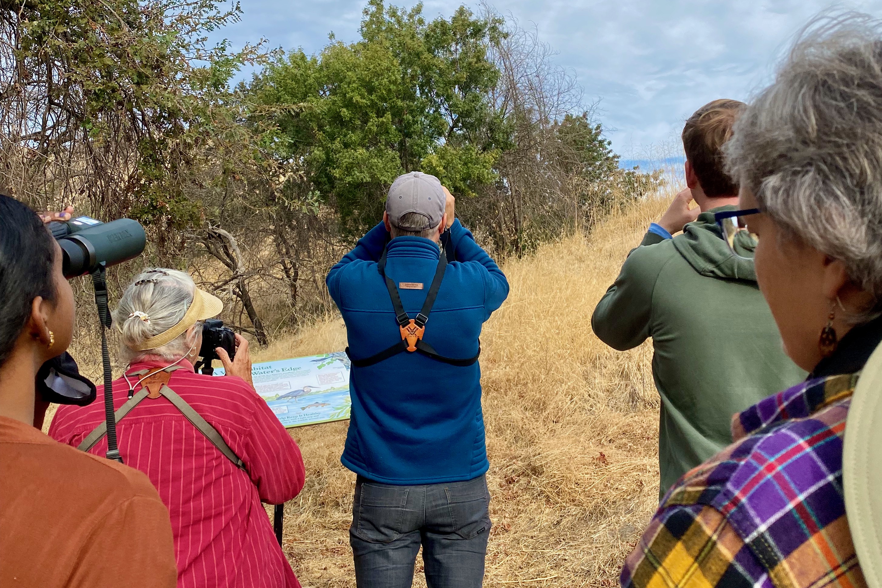 Birders with backs to camera point binoculars at treetops and sky