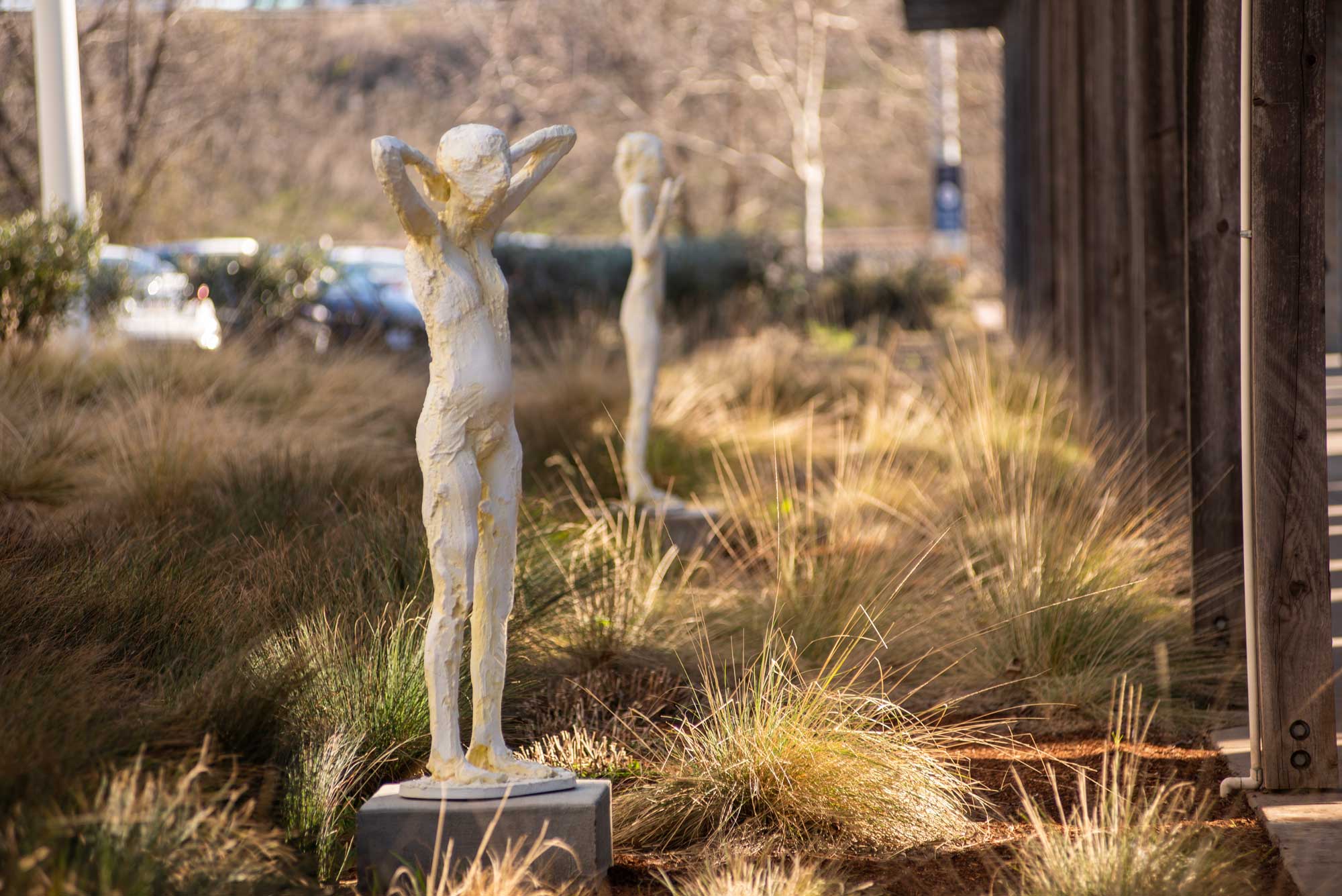 Art figures on the west side of the museum among plants