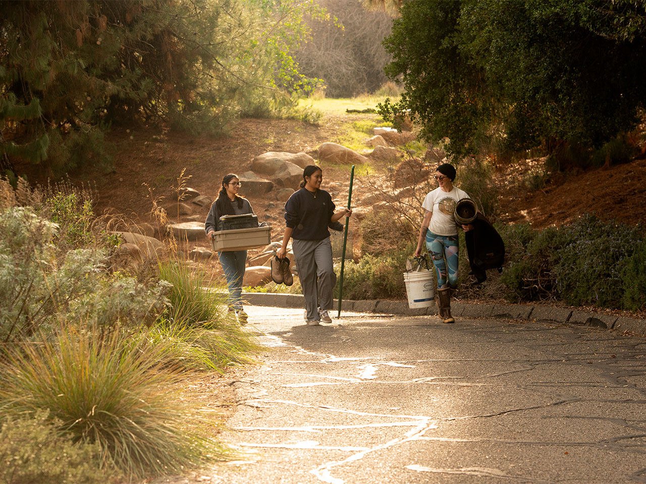 Kimberly Luke, alongside Tena Dhayalan, an animal biology major, and Angela Cabico, an environmental science management major, carry equipment along a path in the UC Davis Arboretum.