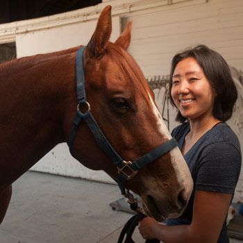 student in animal science working with a horse