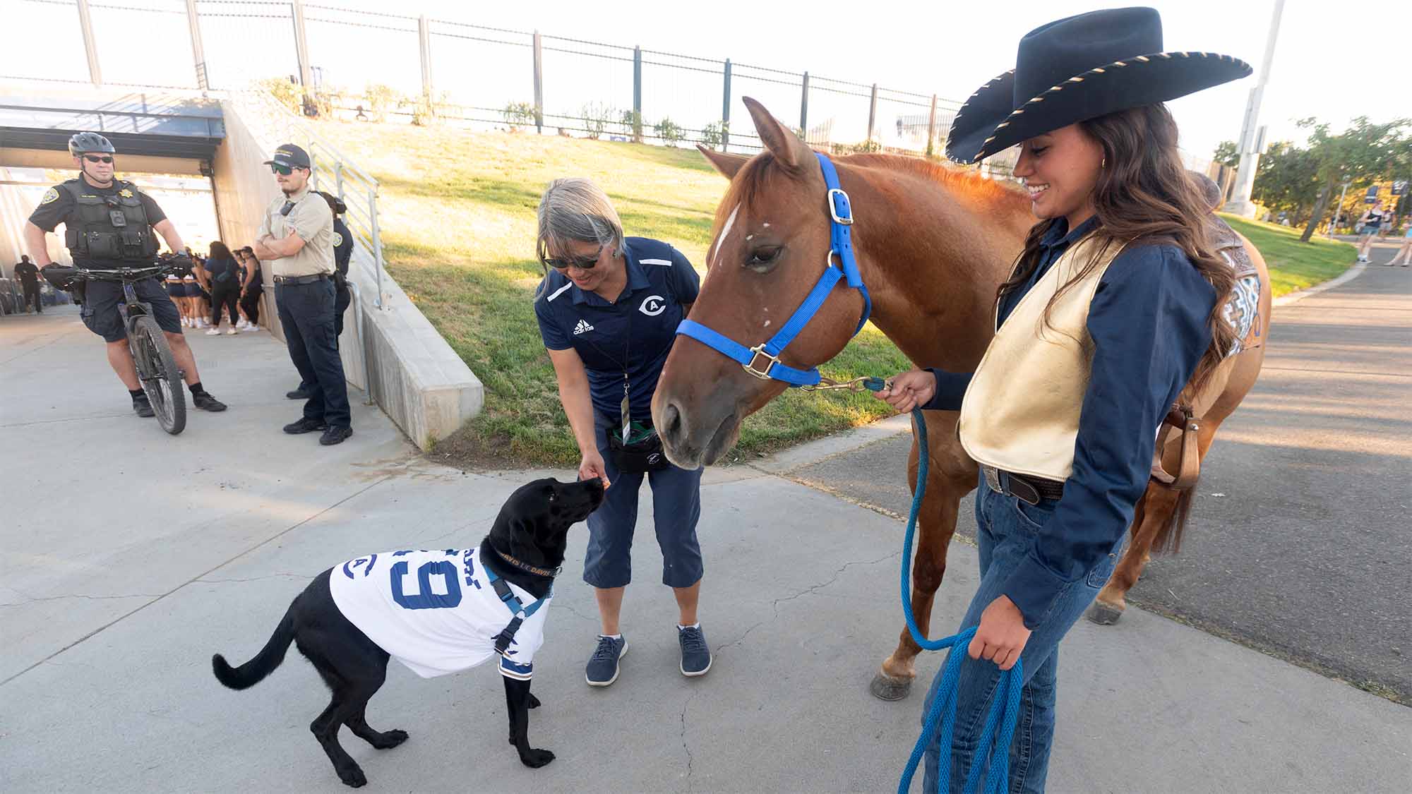 Dog wearing football jersey sniffs horse being held by student