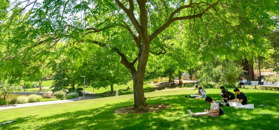 students sitting and relaxing in the Arboretum