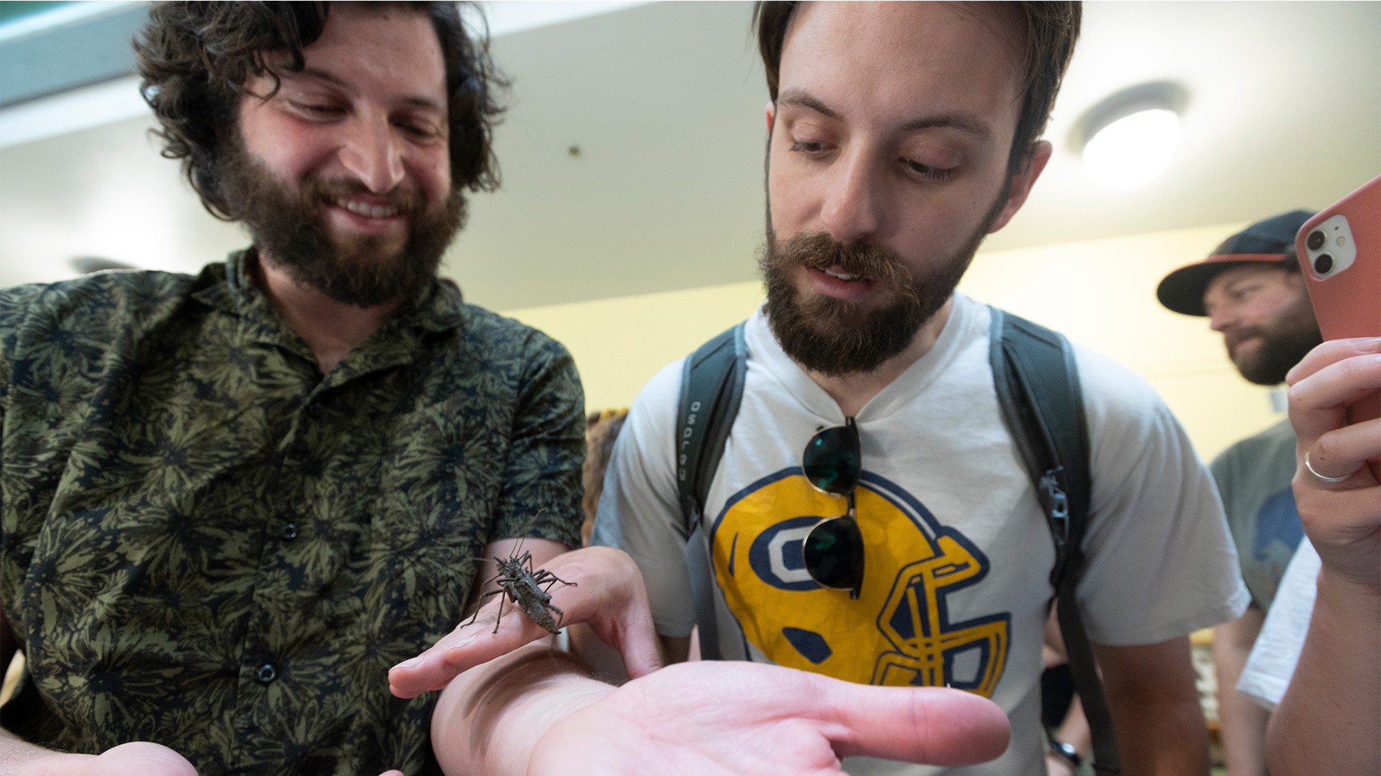 Two men hold a walking stick bug.