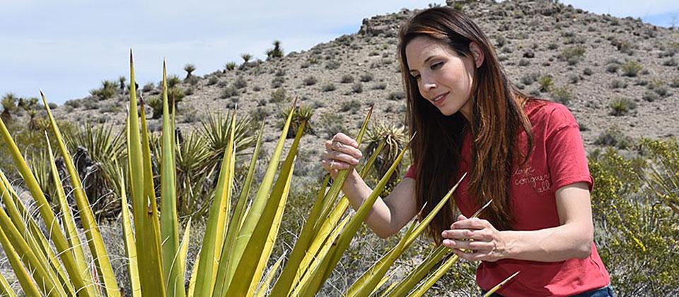 rebecca hernandez examines plants as part of her energy ecology work