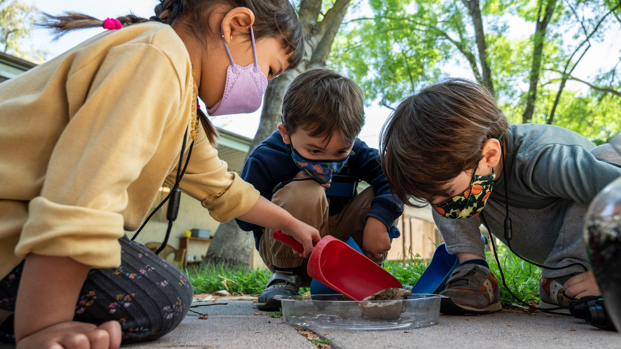 Three children in masks observe bugs.