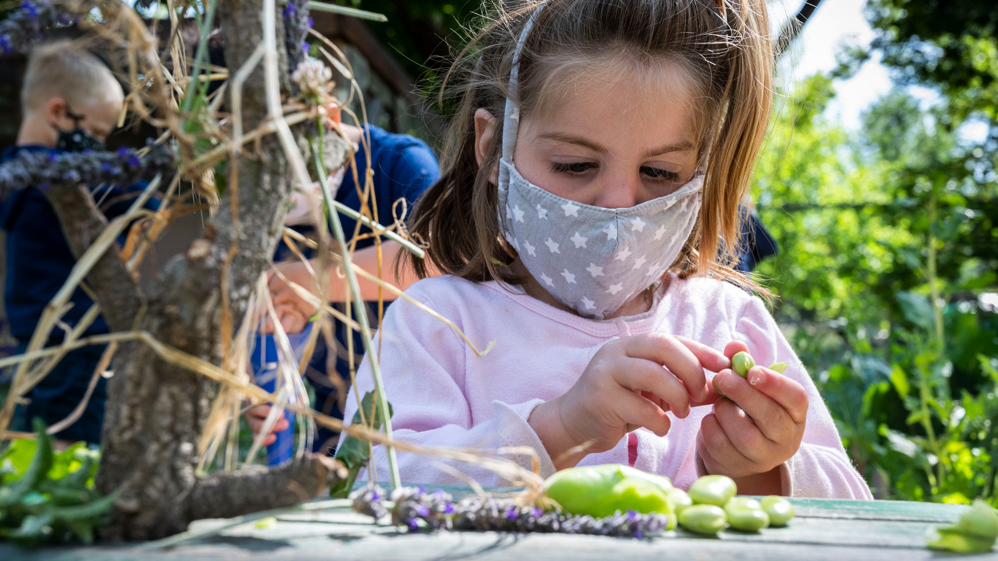 Girl in mask observes fava bean.