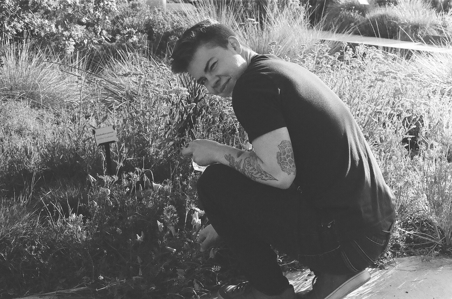 Black and white image of doctoral student collecting poppies from UC Davis Arboretum