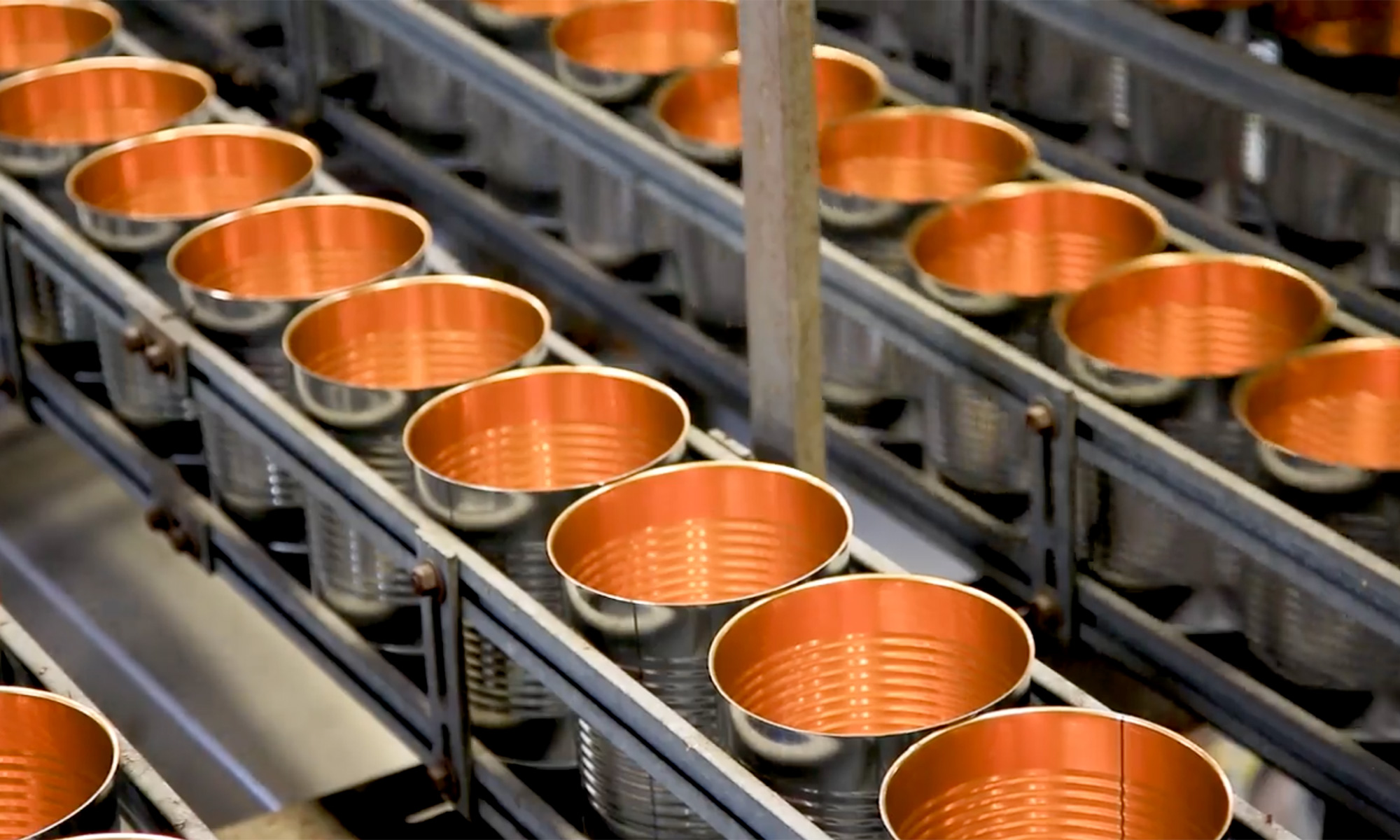 Tomato canning