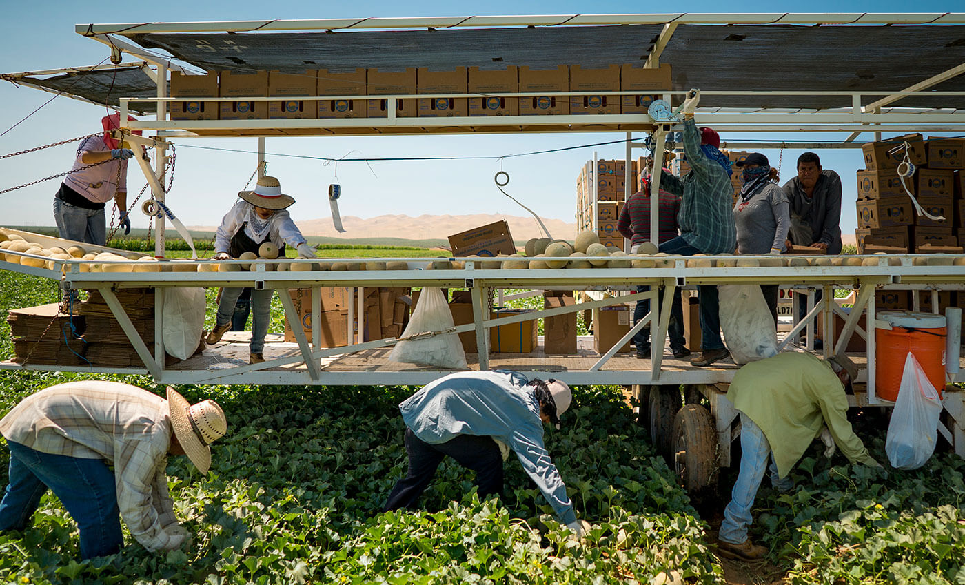 Del Bosque Farms in Firebaugh, Calif. 