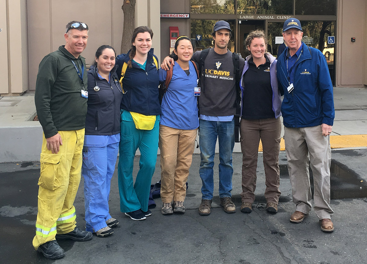 UC Davis Veterinary Medicine team