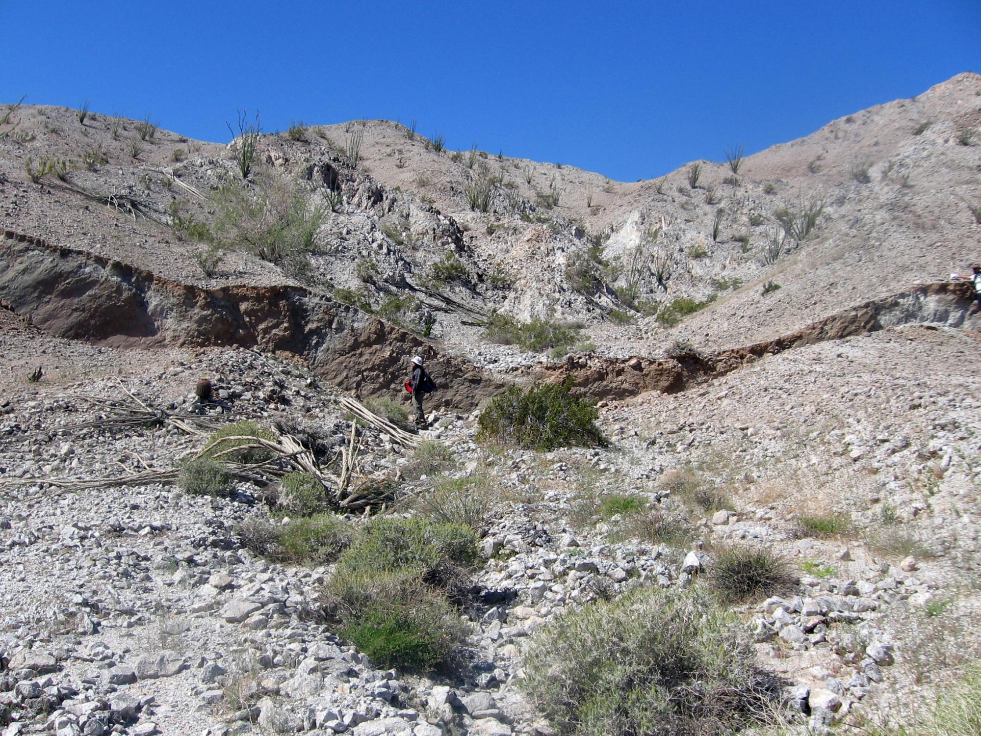 3-D, lidar image of Borrego Fault in Mexico