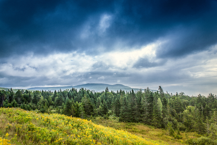 Boreal forest, Canada