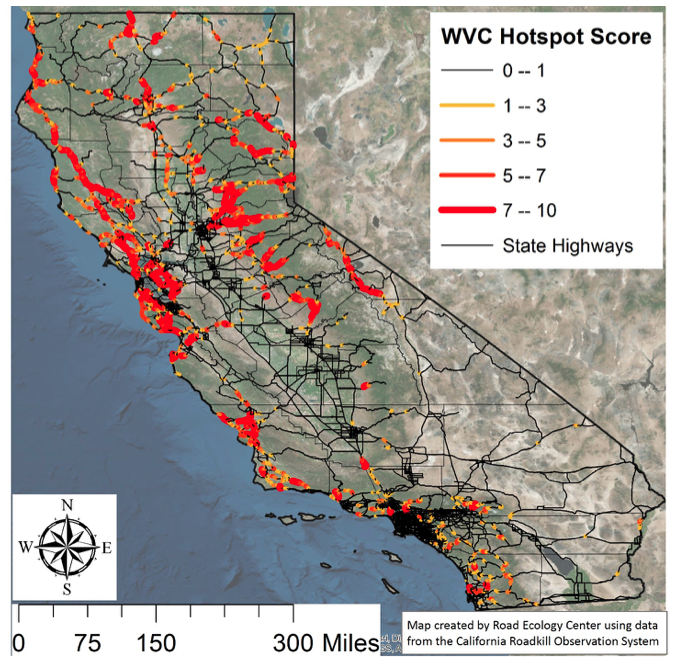 Roadkill Hotspot map California