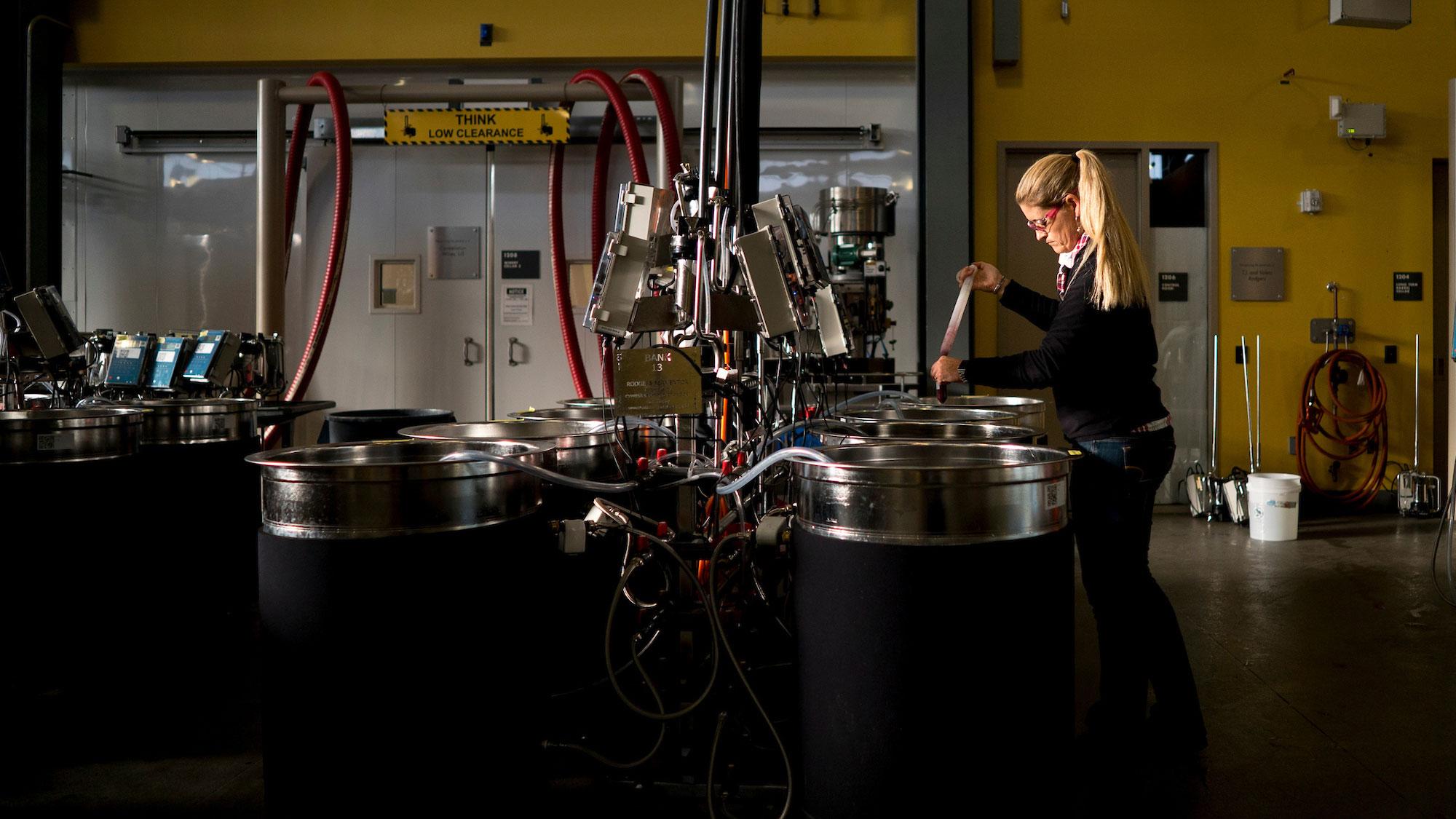 A researcher works in the viticulture and enology lab