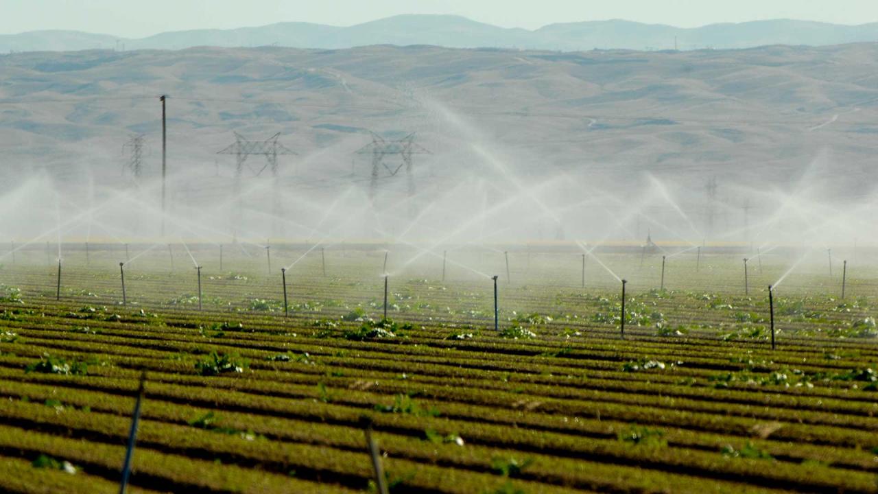 Photo of large sprinklers irrigating row crops nestled among dry brushy hills.