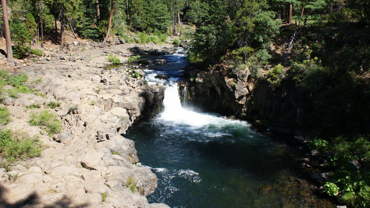 Small waterfall flows over rocks on the McCloud River. Beige rocks and conifer trees align the river bank.