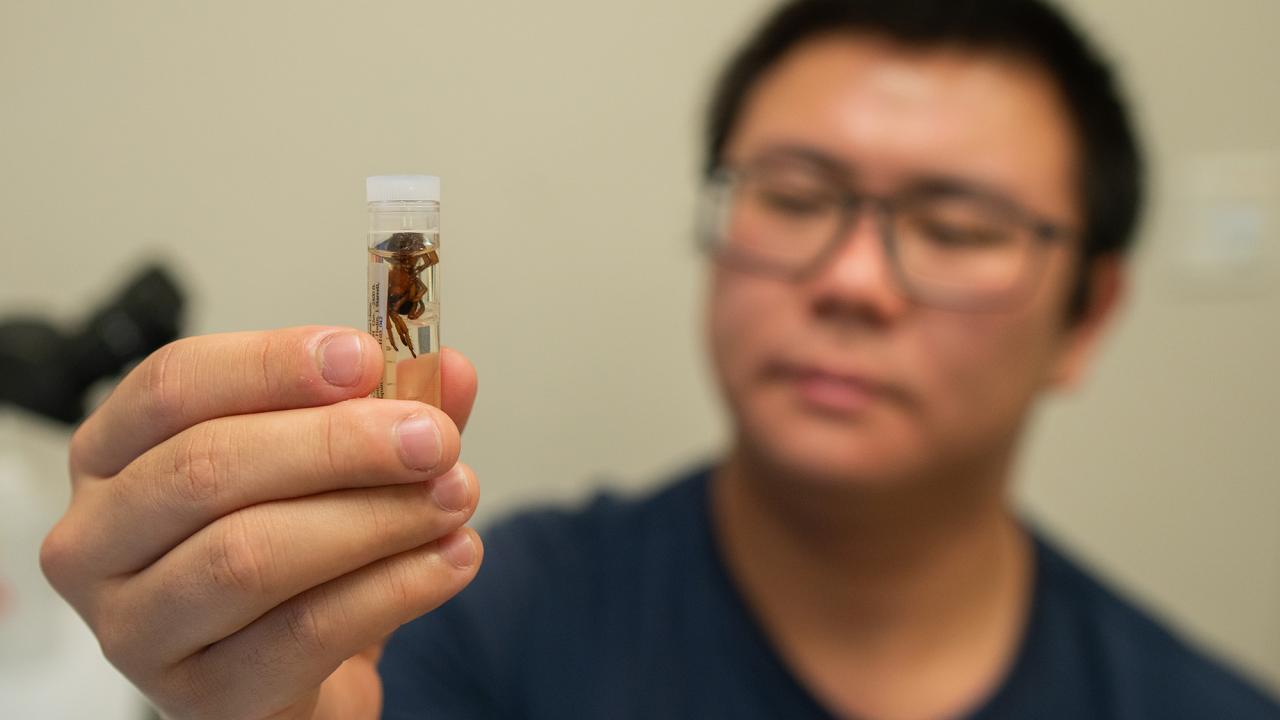 Student holds up a vial with an insect in it