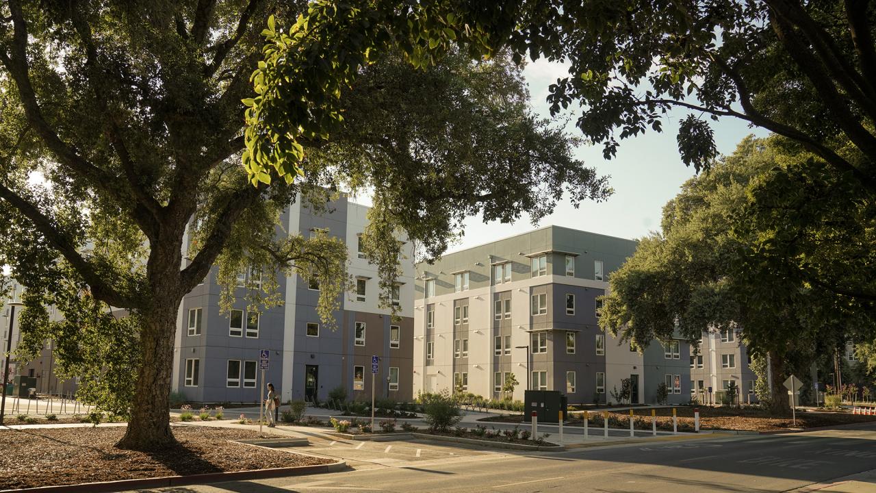 Three Orchard Park buildings between large leafy trees