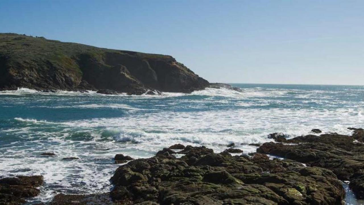 landscape view of Bodega Bay Marine lab