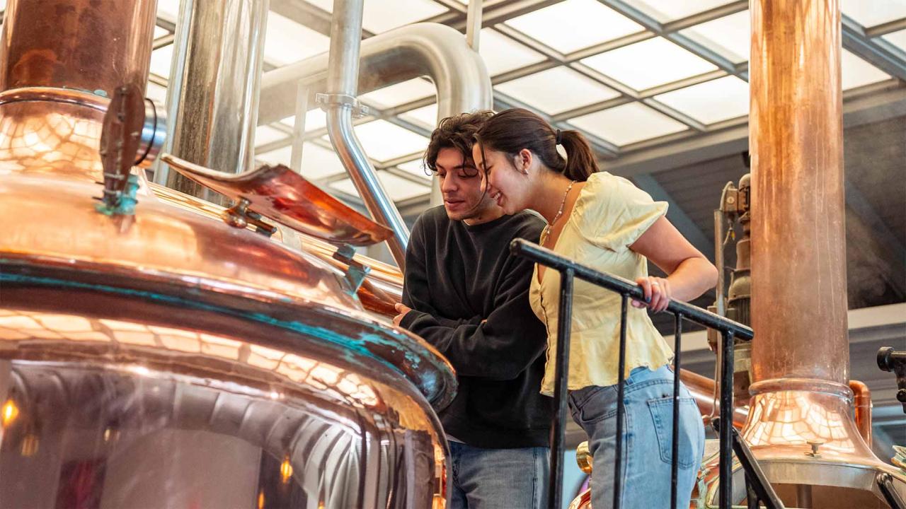 Students lean over large brewing kettle