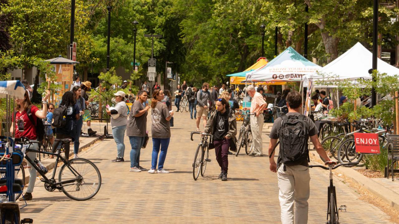 students walking around an open market in downtown Davis