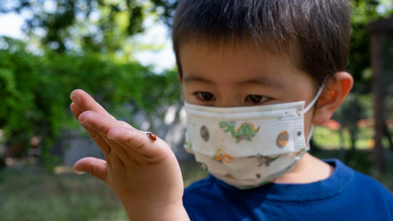 Boy in mask observes ladybag on his hand.