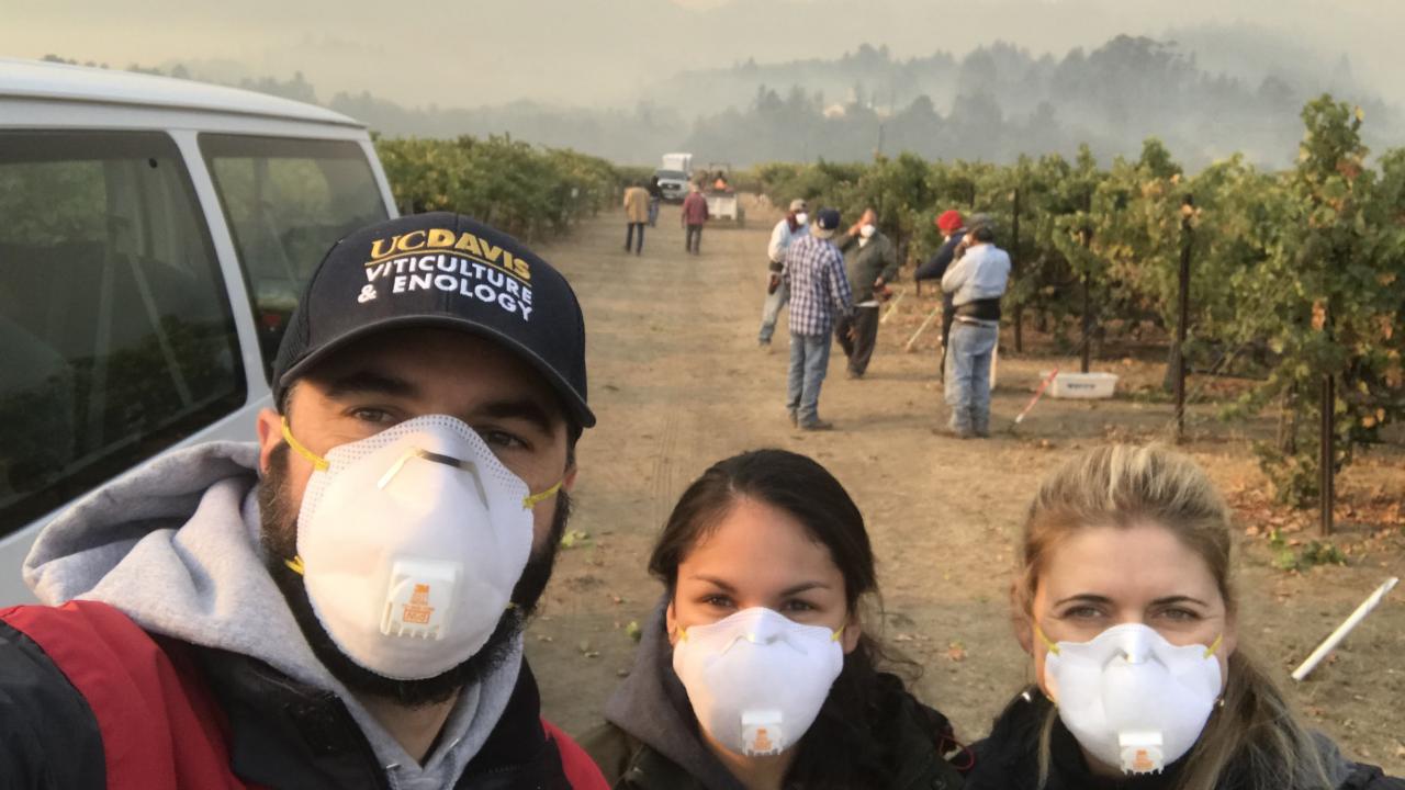 Three people with masks stand in a smoky vineyard