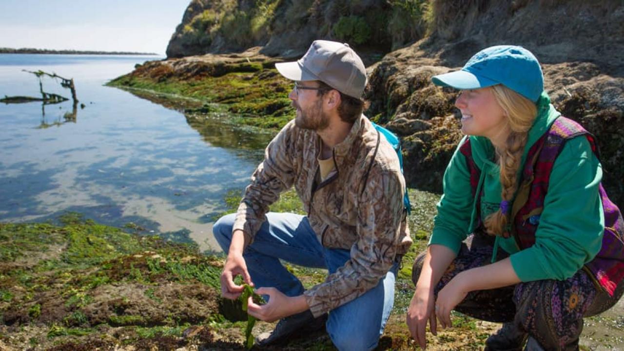 student and professor conducting research at the Bodega Bay Marine Lab