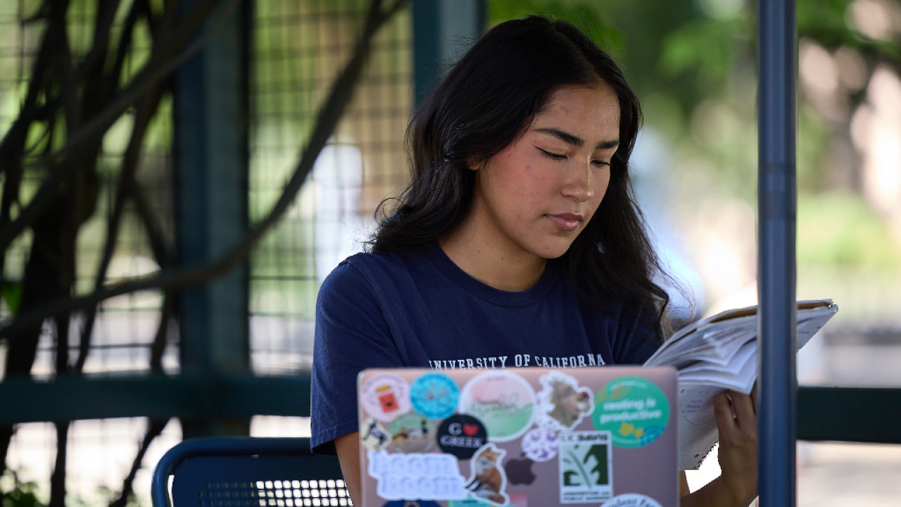 Student looking at laptop outside