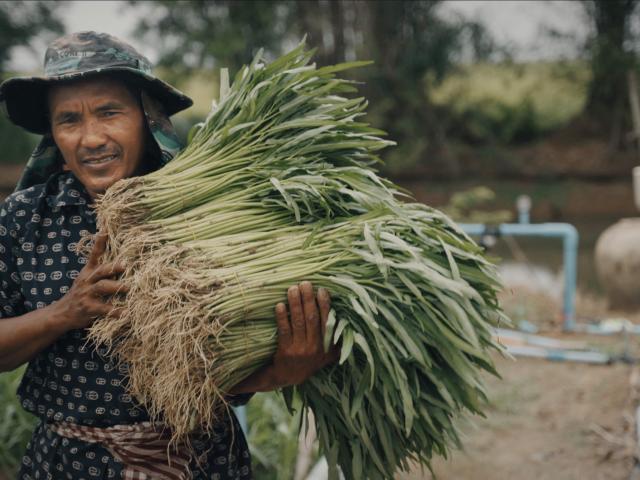 farmer carrying plants