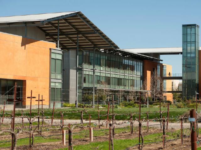 Exterior view of the vineyard just outside of the Robert Mondavi Institute for Wine and Food Science