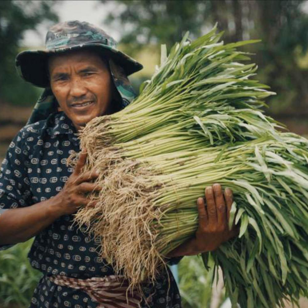 a field work carrying a bundle of vegetables