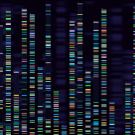 Visual of DNA genome sequencing. 