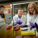 Three scientists in lab