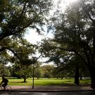 The July morning sun breaks through the clouds over the UC Davis Quad as a bike rider passes by.