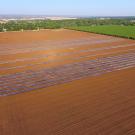 farm field with plastic coverings