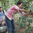 Angelos Deltsidis of UC Davis and farmer Eang Chakriya near Ampil Peam, Cambodia.