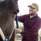 A man brushes a horse