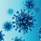 Coronavirus in blue. 3D render.