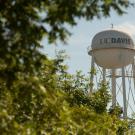 A view of the water tower through greenery